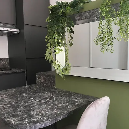 Palais Gioffredo Place Massena Apartment