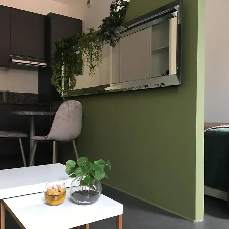 Palais Gioffredo Place Massena Apartment *